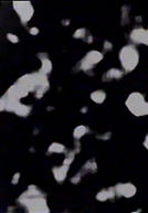 01.39411.999