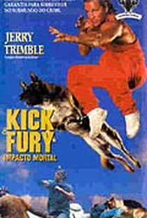 Kick e Fury - Impacto Mortal - Poster / Capa / Cartaz - Oficial 2