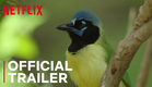 Birders | Main Trailer | Netflix