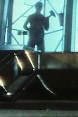 O Limpador de Janelas (Der Fensterputzer)