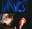 Blue Harvest