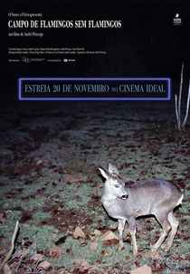 Campo de flamingos sem flamingos (Campo de flamingos sem flamingos)