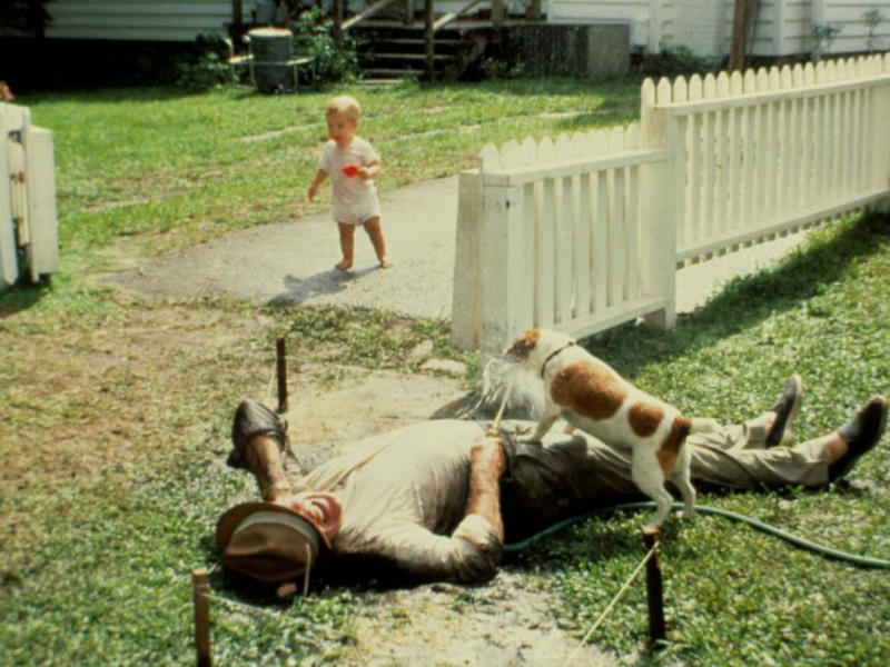 Foto 45 de Veludo Azul