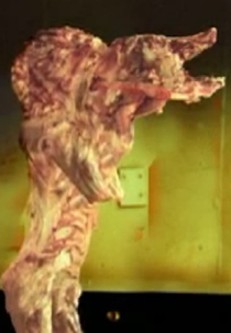 The Pig Walks (The Pig Walks)