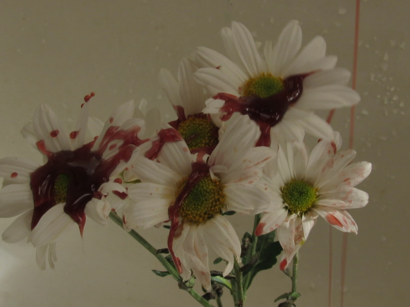 Foto 4 de A Carcaça da La Ursa