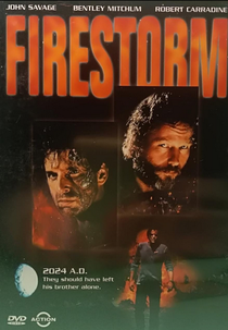 Vingança Explosiva (Firestorm)