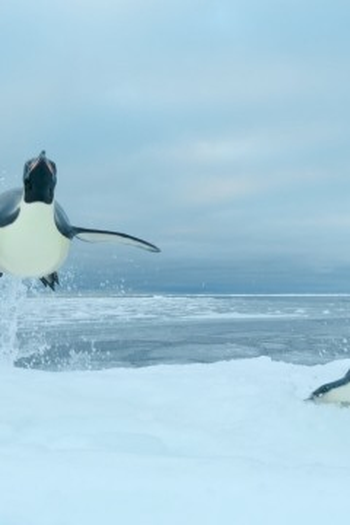 Poster de Episódio Southern Ocean (2024)