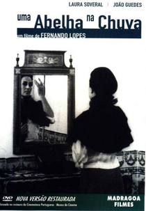 Uma Abelha na Chuva (Uma Abelha na Chuva)