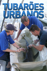 Tubarões Urbanos (Tubarões Urbanos)