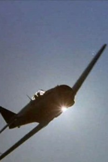 Poster de Episódio Sheep in the Limelight (1978)