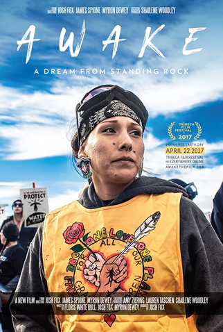 Poster 1 de Filme Awake, a Dream from Standing Rock (2017)
