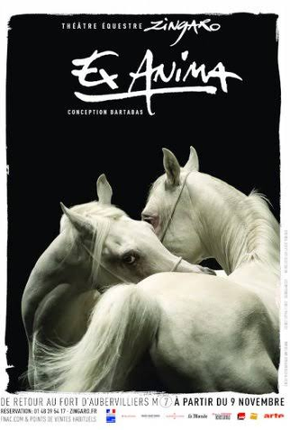 Poster 1 de Curta Ex Anima (2019)
