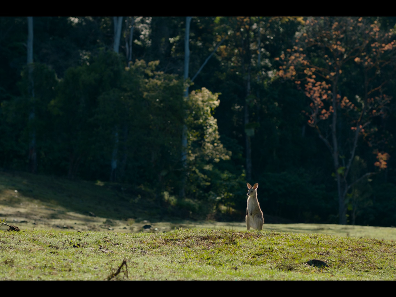 Foto 45 de Combinação Perfeita