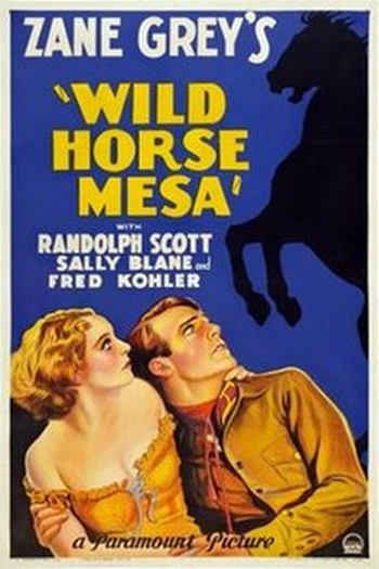 Poster de Filme Audácia Entre Adversários (1932)