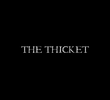 The Thicket