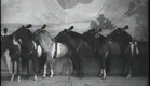 Tom Tinker's Pony Patter