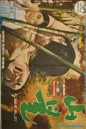 Poster de Filme Chamas no Vale (1967)