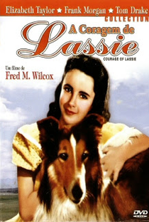 A Coragem de Lassie - Poster / Capa / Cartaz - Oficial 4