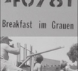 40/81: Breakfast im Grauen