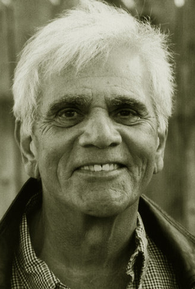 Alex Rocco