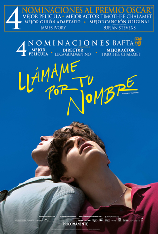 Poster 29 de Filme Me Chame Pelo Seu Nome (2017)