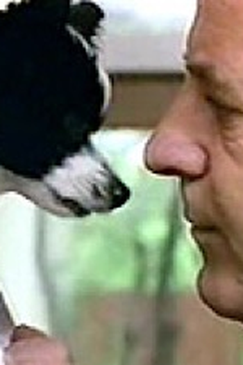 Poster de Episódio Episode 28 (1994)