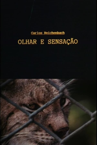 Olhar e Sensação - 1994 | Filmow