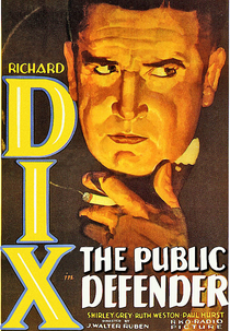 O Defensor Público (The Public Defender)