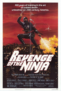 A Vingança do Ninja - Poster / Capa / Cartaz - Oficial 1