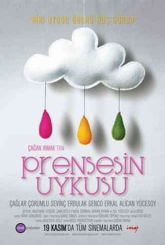 Poster 1 de Filme Prensesin Uykusu (2010)