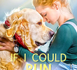 If I Could Run