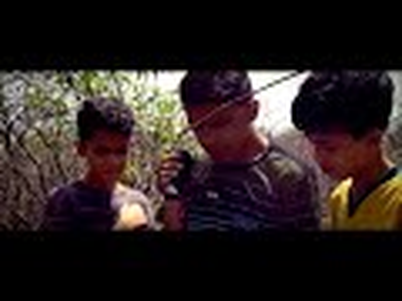 Foto 2 de Noites de Medo