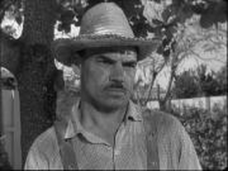 Foto 12 de Homens e Bestas