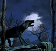 Wolf Moon