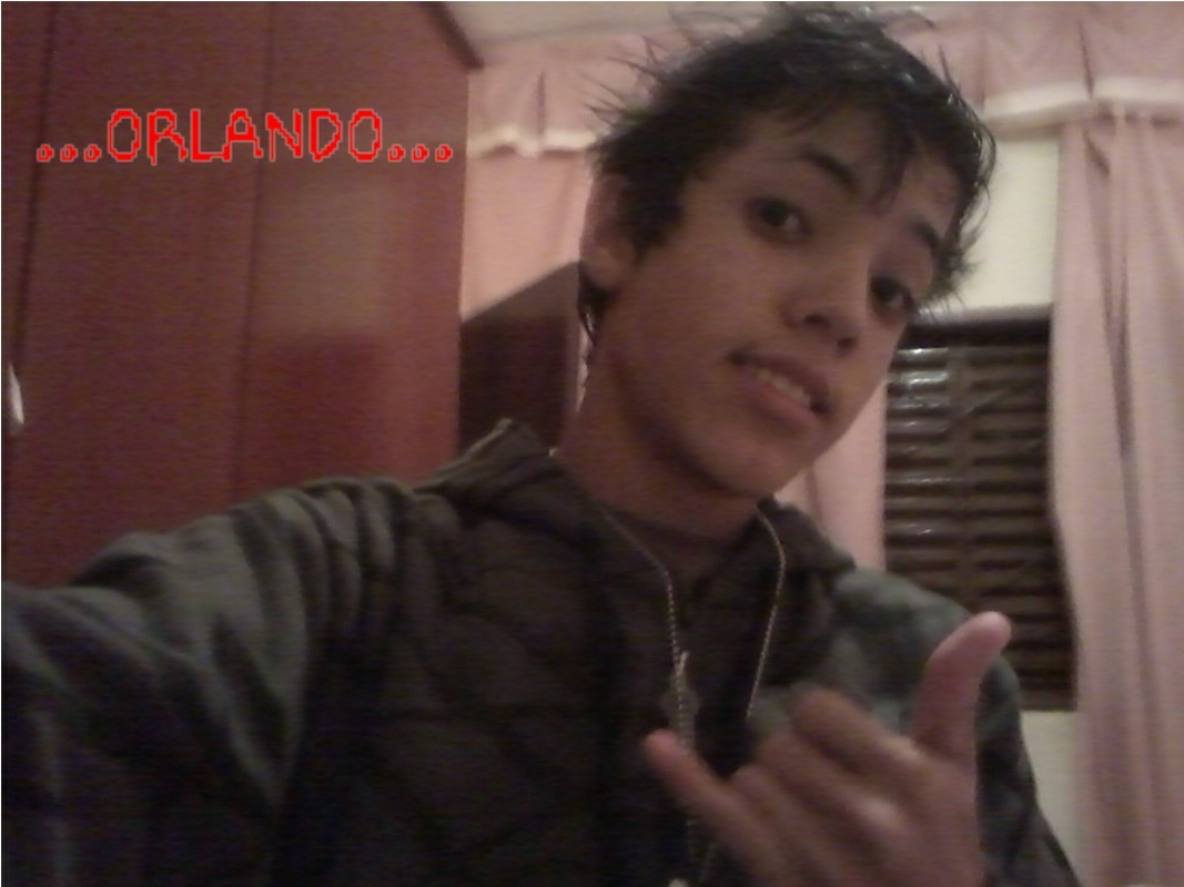 Orlando - Foto 2