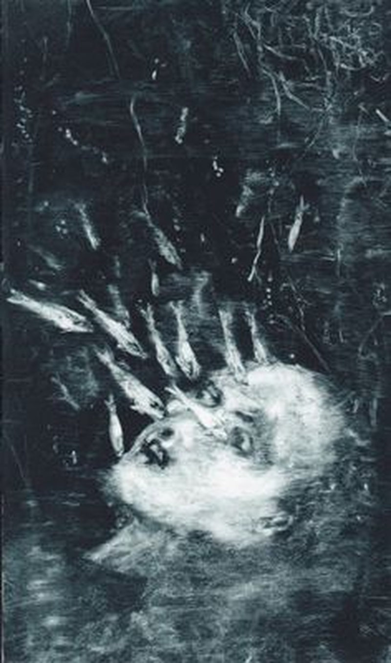 tbad fish - Foto 1