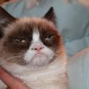 Foto de perfil de Bruna Benetti