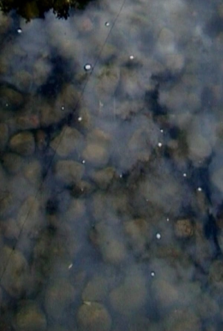 Poster 1 de Curta Drops on Marble (2003)