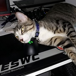 Foto de perfil de Laumir