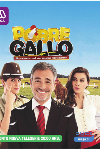 Poster 1 de TV Pobre Gallo (2016)