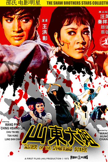 Poster de Filme Shaolin e a Boxeadora Invencível  (1973)