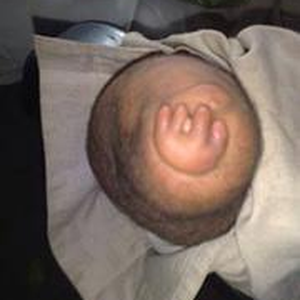 Foto de perfil de صالح البرعي