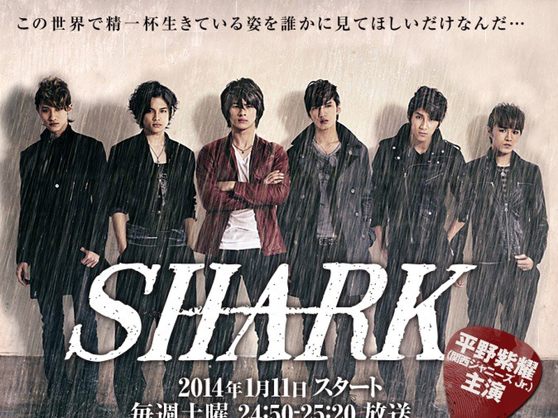 Foto 2 de Shark (1ª Temporada)