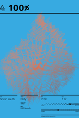 Sonic Youth: 100% (Sonic Youth: 100%)