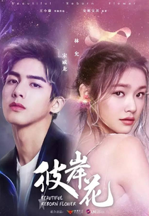 Beautiful Reborn Flower (彼岸花)