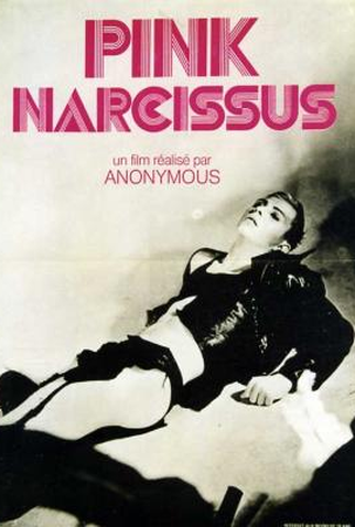 Poster 1 de Filme Pink Narcissus (1971)