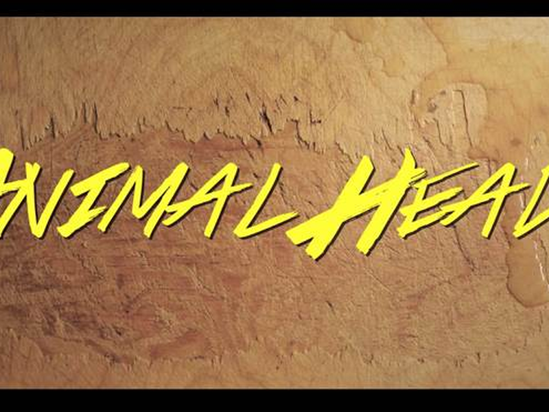 Foto 1 de Animal Heads