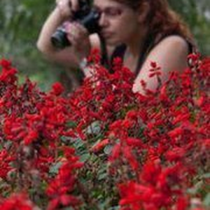 Foto de perfil de Edi