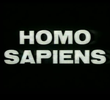 Homo sapiens