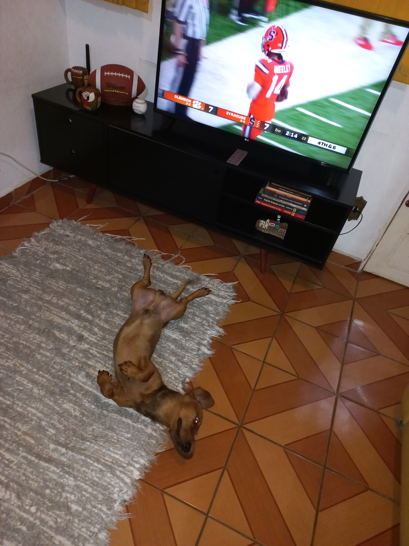 Matheus de Sá Chiste - Foto 1
